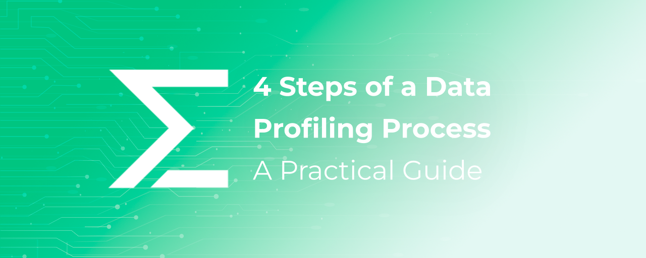 Master the Data Profiling Process 4 Steps to Improve Data Quality